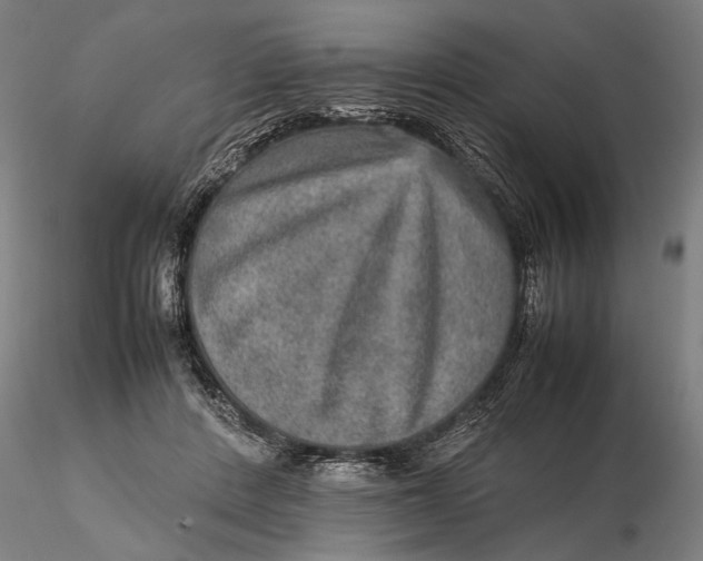 X0000115580408200912011444