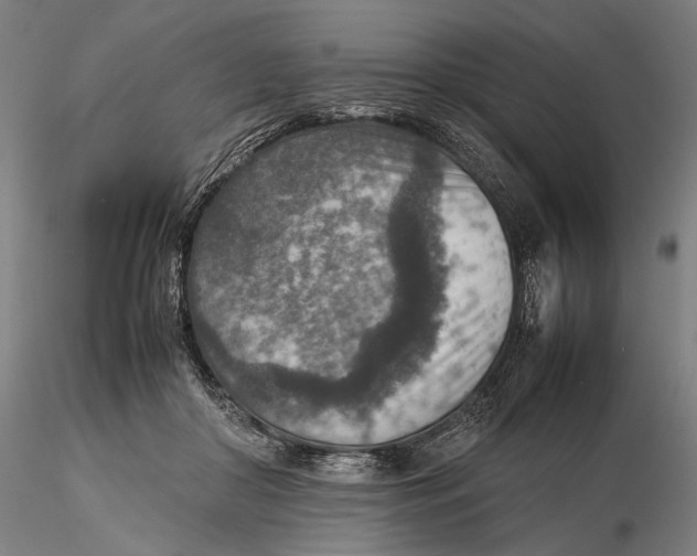 X0000115580410200912011444