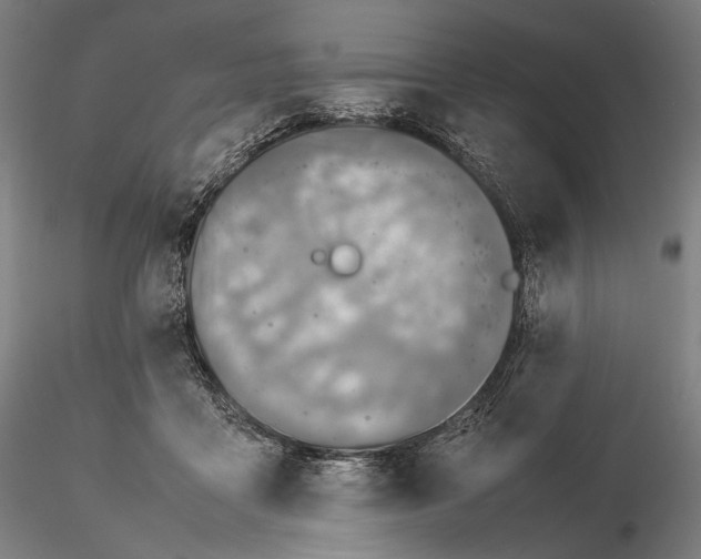 X0000115580411200912011444