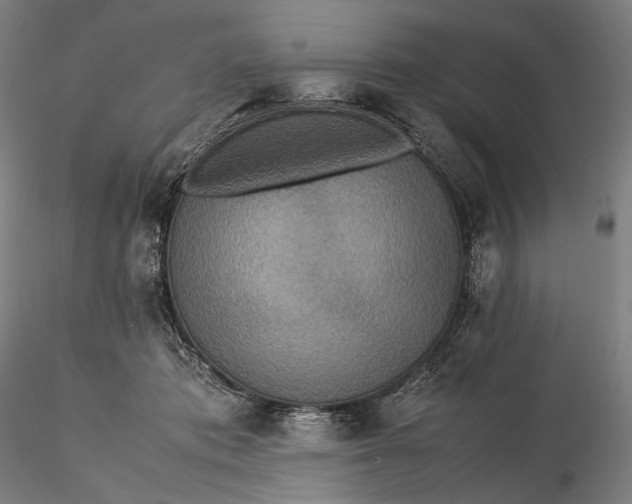 X0000115580413200912011444