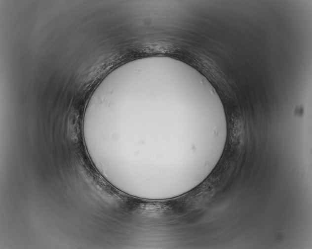 X0000115580414200912011443