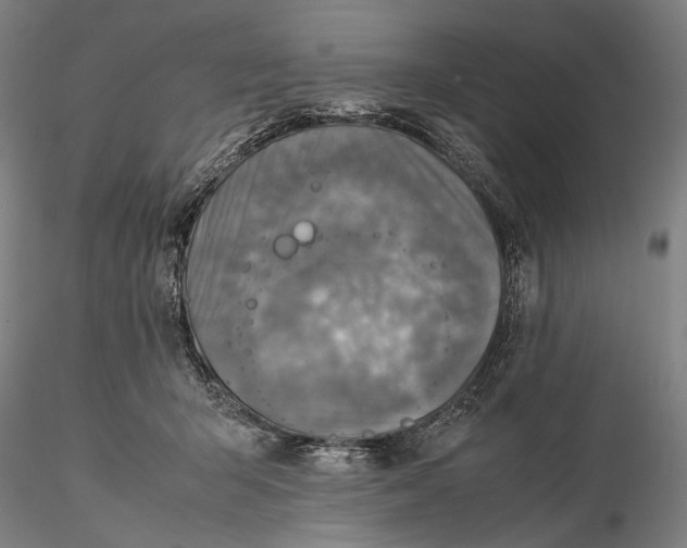 X0000115580415200912011443