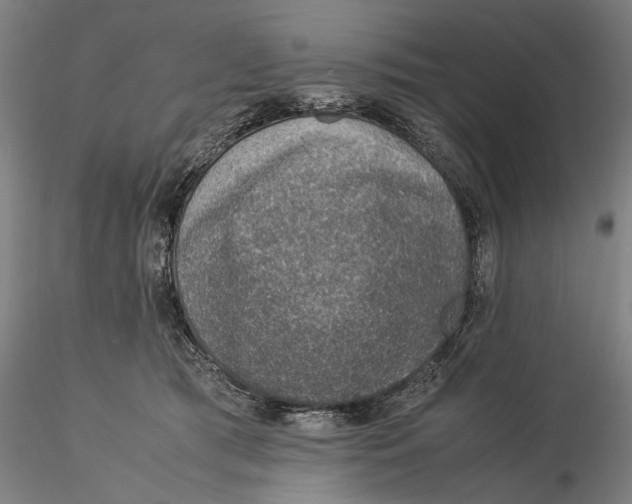 X0000115580417200912011443