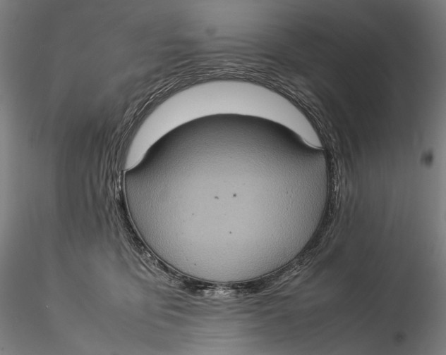 X0000115580419200912011443