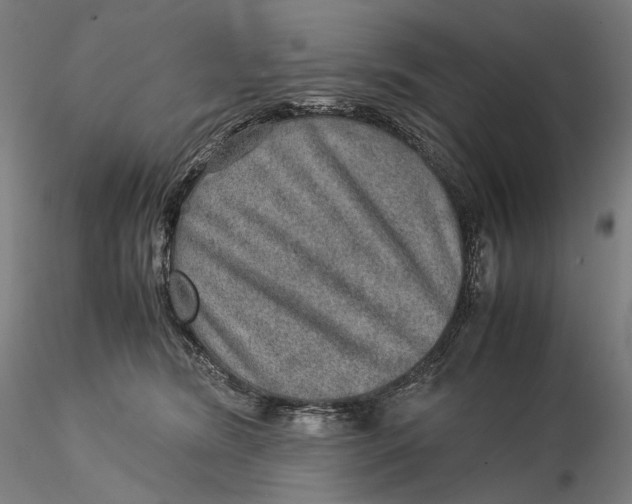 X0000115580420200912011443