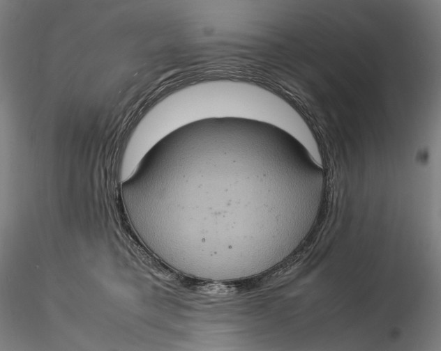 X0000115580421200912011443