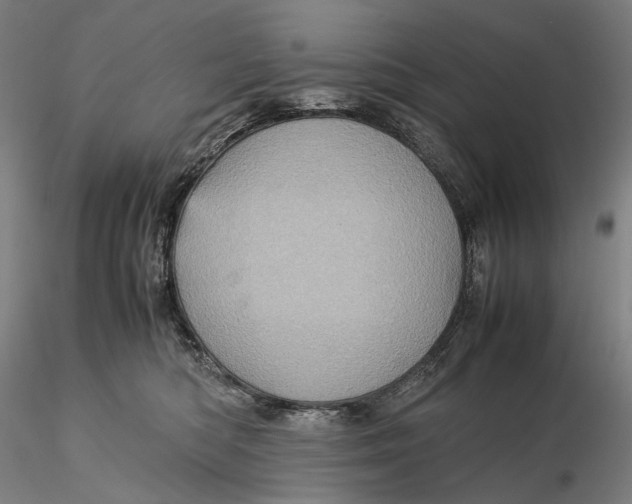 X0000115580422200912011443