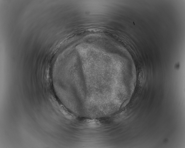 X0000115580424200912011443