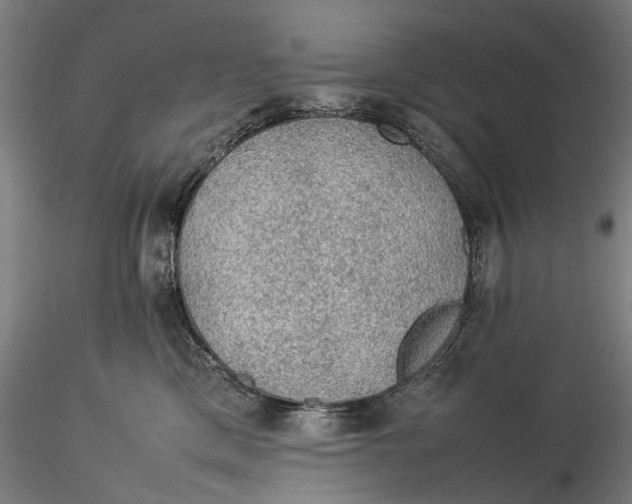 X0000115580425200912011443