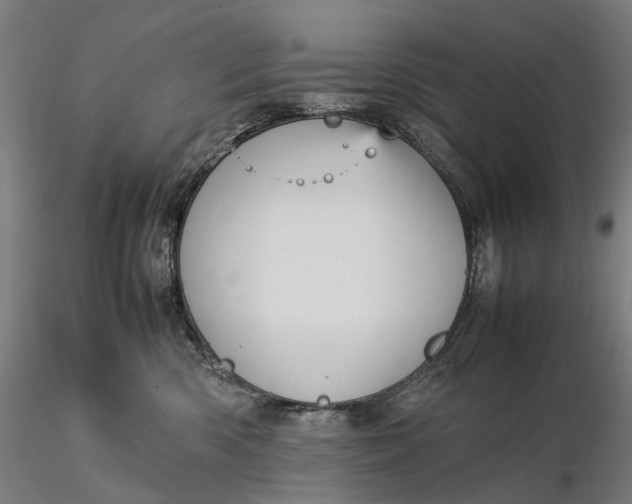 X0000115580426200912011443