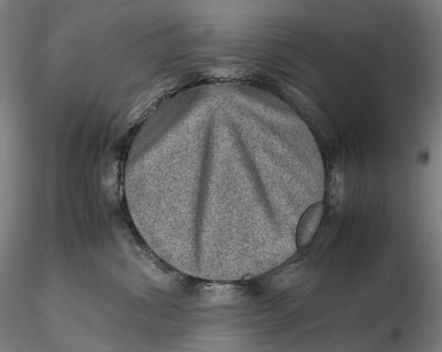 X0000115580428200912011443