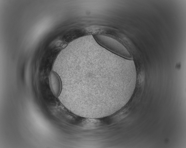 X0000115580429200912011443