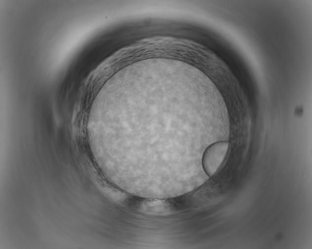 X0000115580431200912011443