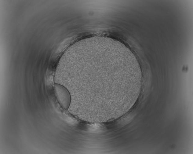 X0000115580432200912011443