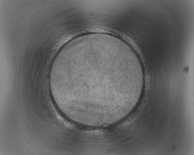 X0000115580433200912011443