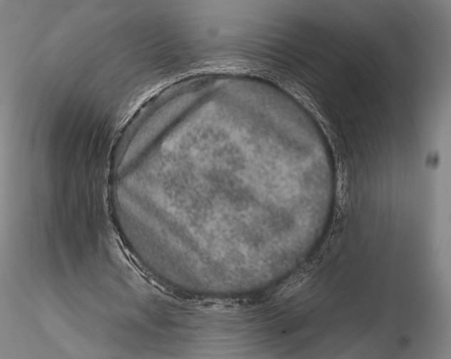 X0000115580434200912011443