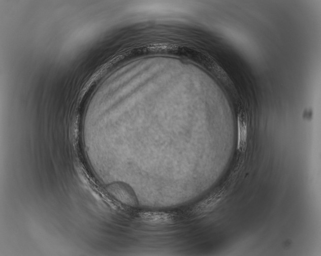 X0000115580435200912011443