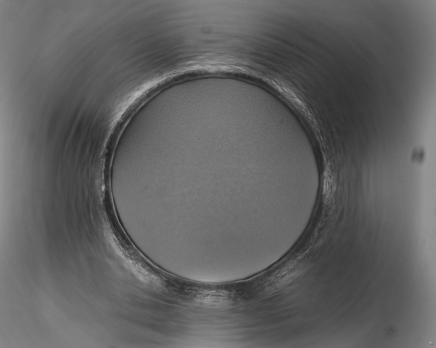 X0000115580438200912011443