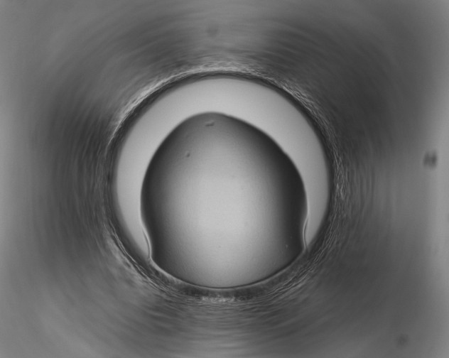 X0000115580440200912011443