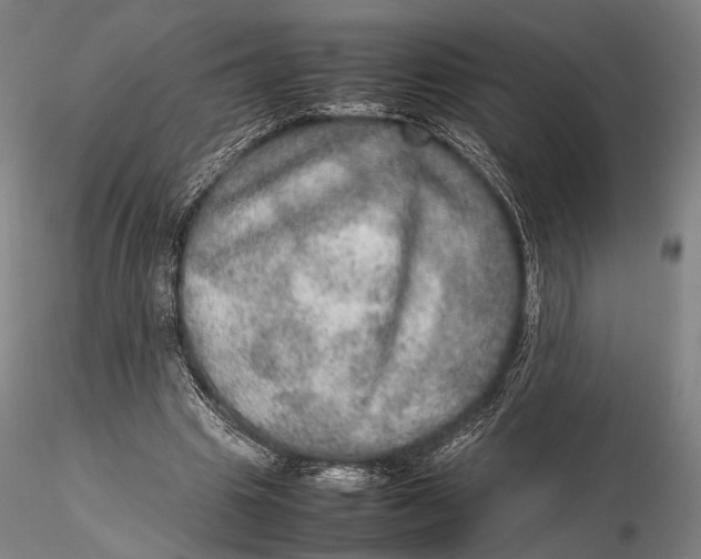 X0000115580441200912011443