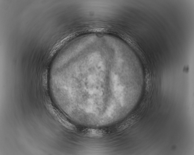 X0000115580442200912011443