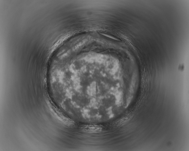 X0000115580443200912011443