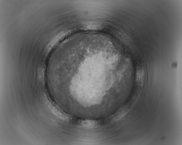 X0000115580444200912011443