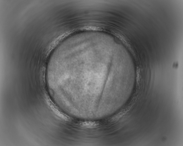 X0000115580445200912011443