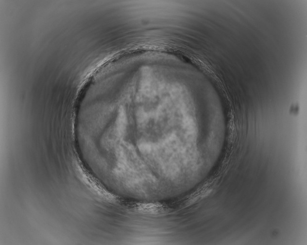 X0000115580446200912011443