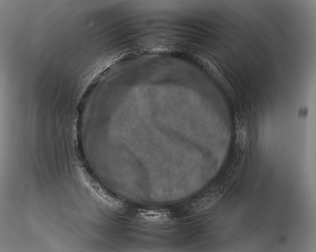 X0000115580447200912011443