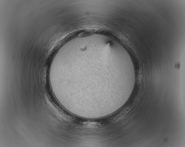 X0000115580448200912011443