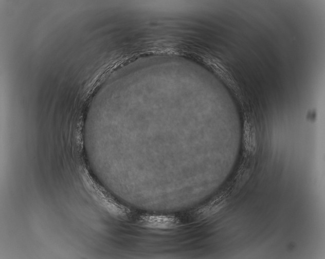 X0000115580449200912011443