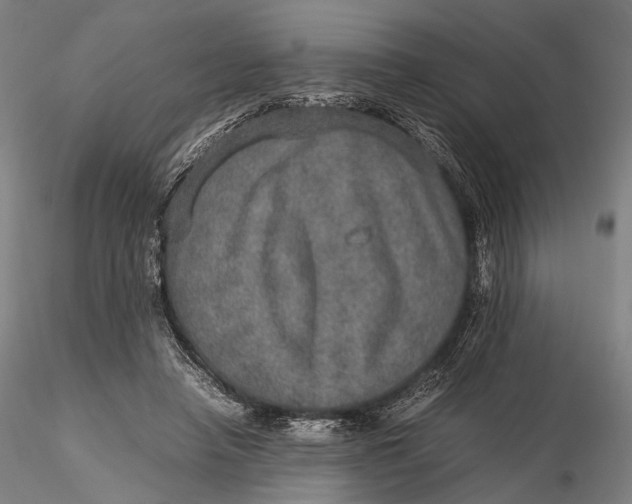 X0000115580450200912011443