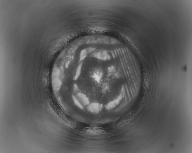 X0000115580451200912011443