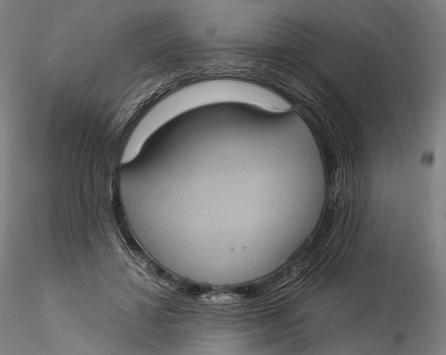 X0000115580452200912011443