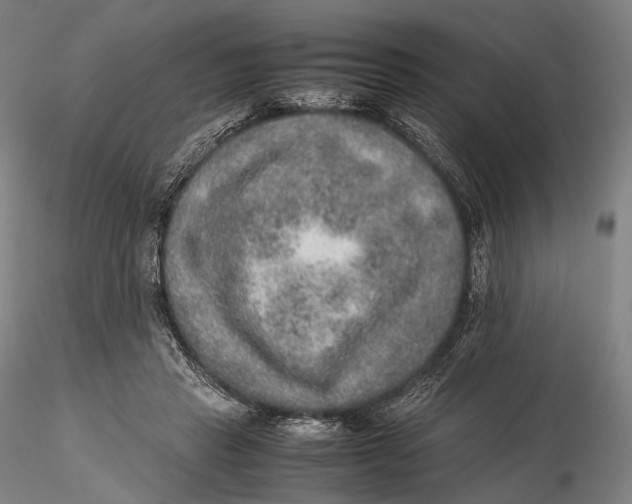 X0000115580453200912011443