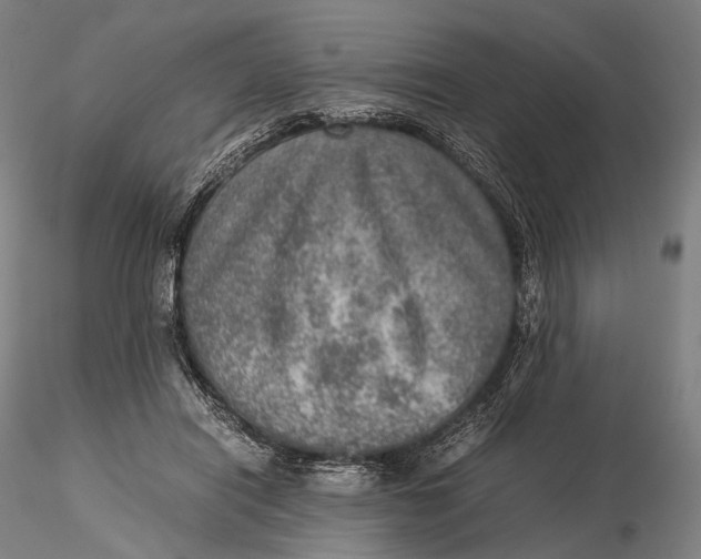 X0000115580454200912011443