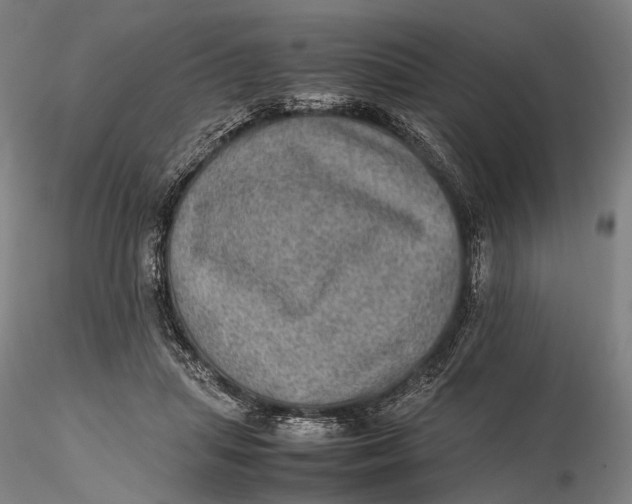 X0000115580455200912011443