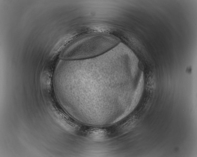 X0000115580456200912011443