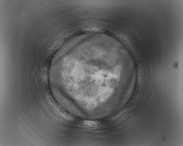 X0000115580457200912011443