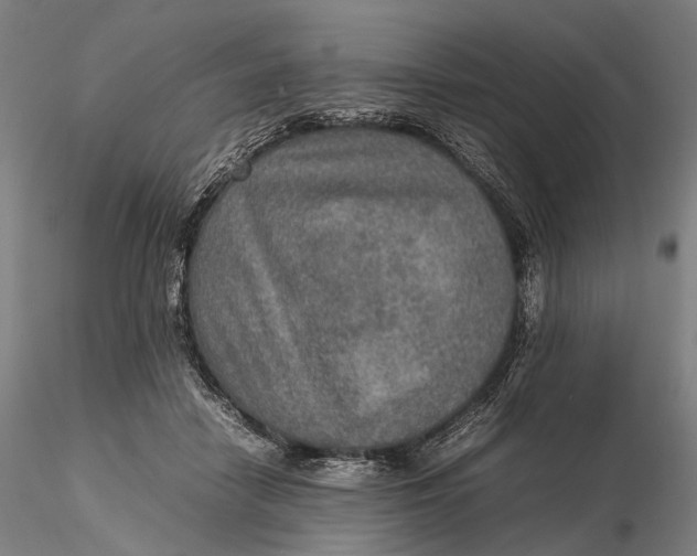 X0000115580458200912011443