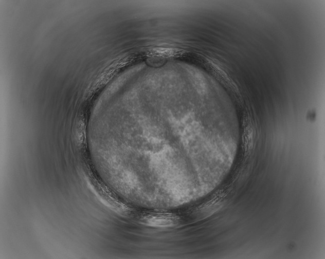 X0000115580459200912011443