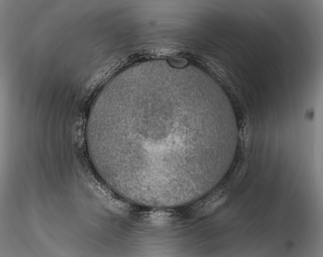 X0000115580462200912011443