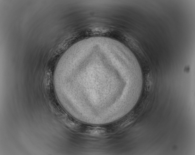 X0000115580463200912011443