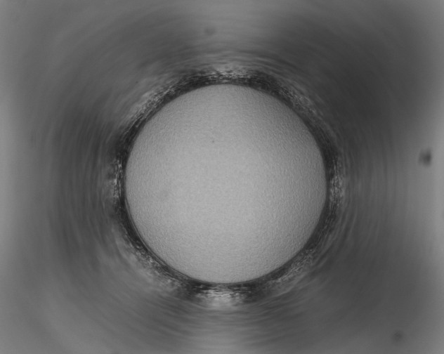 X0000115580464200912011443