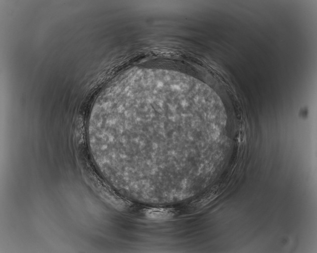 X0000115580465200912011443