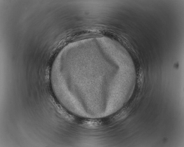 X0000115580466200912011443