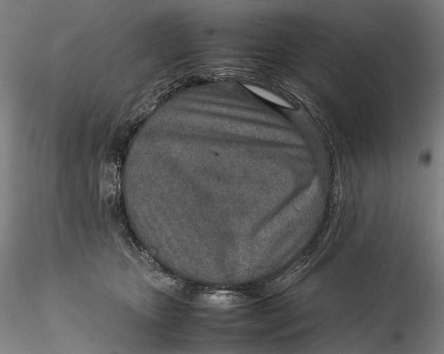 X0000115580467200912011443