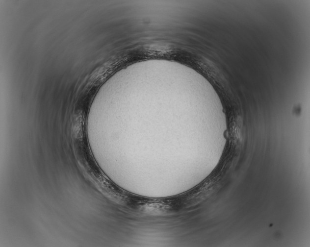 X0000115580468200912011443