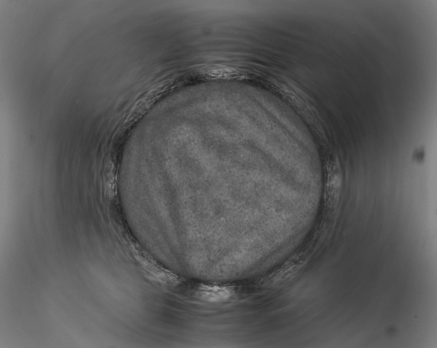 X0000115580469200912011443